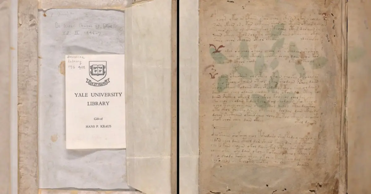 El misterio del Manuscrito Voynich: el libro indescifrable que lleva más de 500 años sin ser leído
