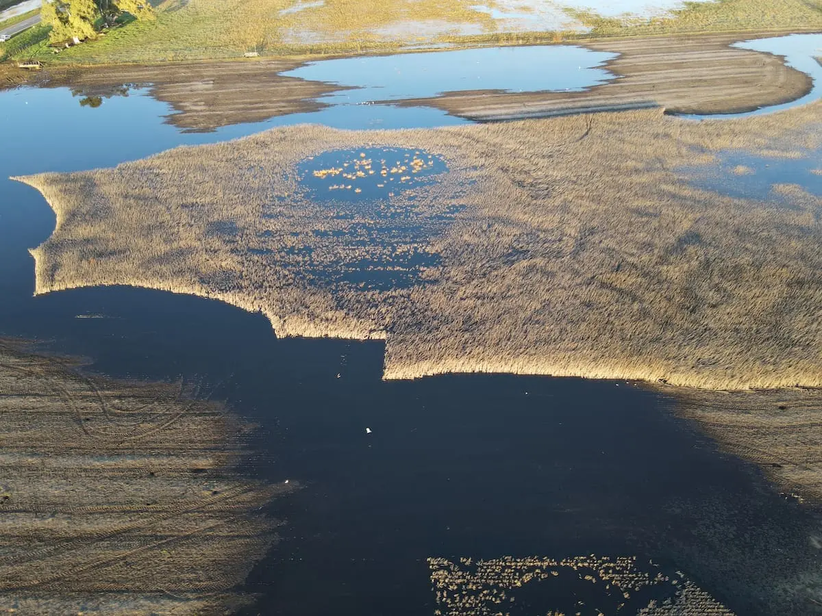 Revelan que la región agrícola ha recibido hasta 300 milímetros de lluvia adicional en comparación con lo usual
