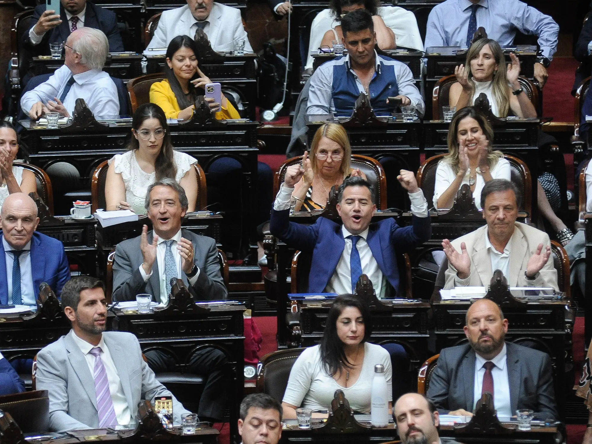 Las proyecciones libertarias: la ilusión del tercio propio en Diputados y el fuerte crecimiento en el Senado