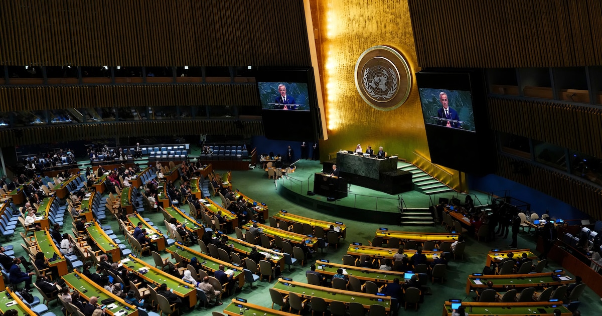 Nueva jornada en la Asamblea General de la ONU con Felipe VI, Zelensky, Milei y otros líderes mundiales en VIVO
