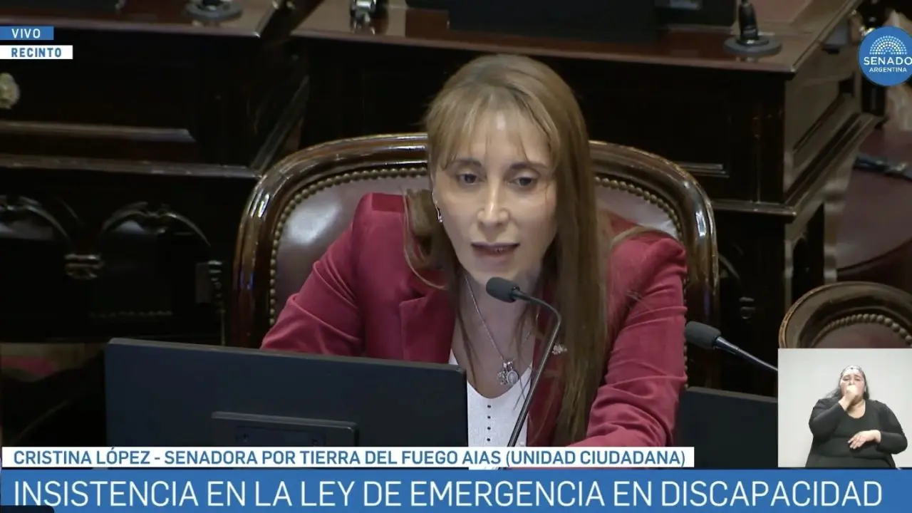 El impacto de “Alta coimera” resuena en el Senado durante la sesión sobre Discapacidad