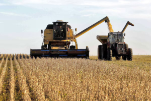 Al campo le queda US$3000 millones en soja y prevén una desaceleración de los negocios