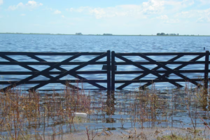 Controversia por obra hidráulica que habría sido mal ejecutada y provoca inundaciones en el noroeste bonaerense
