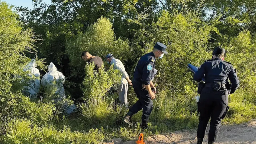 Caso Pablo Laurta: hallan cráneo y restos en Tala y analizan si pertenecen al chofer Martín Palacio
