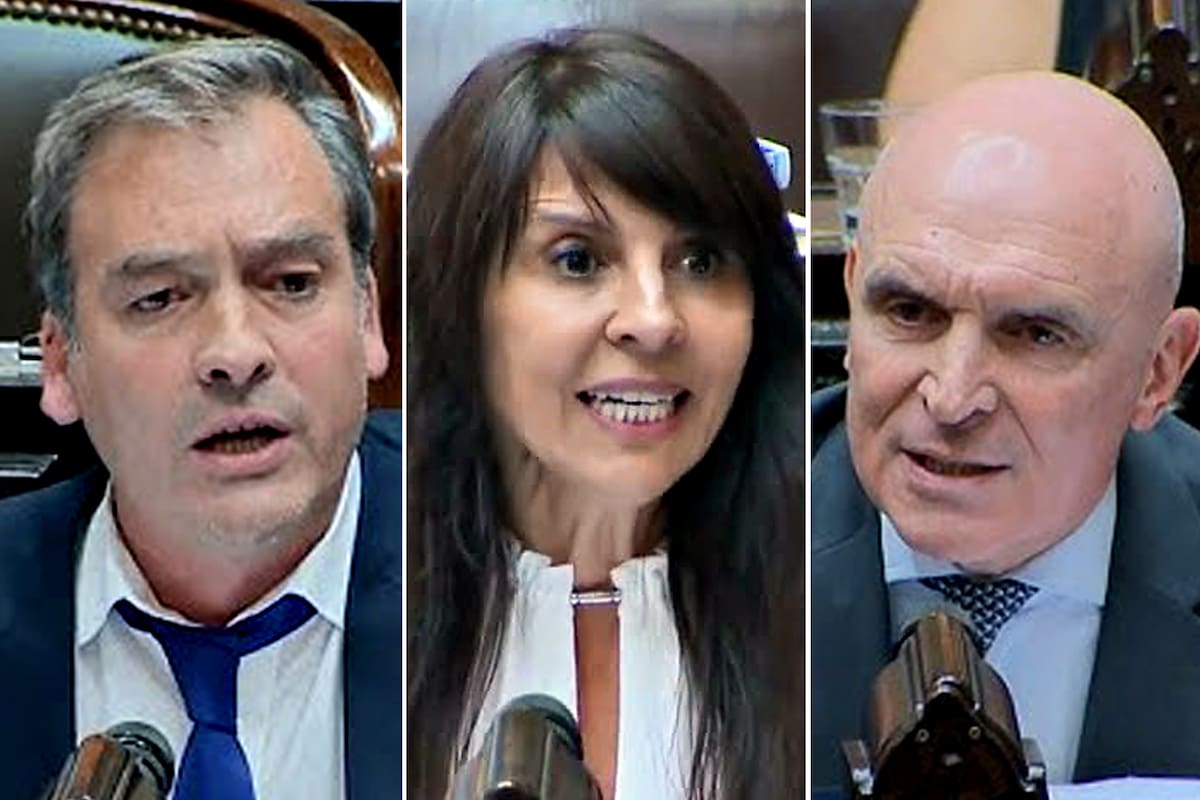 Narcopolítica y rinoscopías. La campaña en Río Negro quedó atravesada por las acusaciones entre sus protagonistas