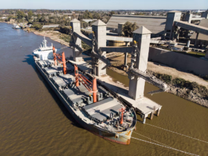 Hay boom de exportación de soja y alcanza un récord en 10 años