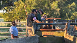 Un problema que trasciende fronteras y especies