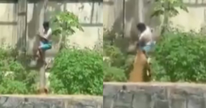 Joven muere tras ingresar a la jaula de una leona en zoológico brasileño; autoridades investigan