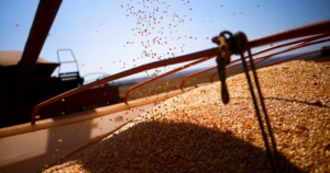 baja de retenciones al campo: impacto sobre divisas, precios y cuentas fiscales en plena demanda de dólares