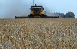 Un juego de ingenio para evitar la derrota en el partido