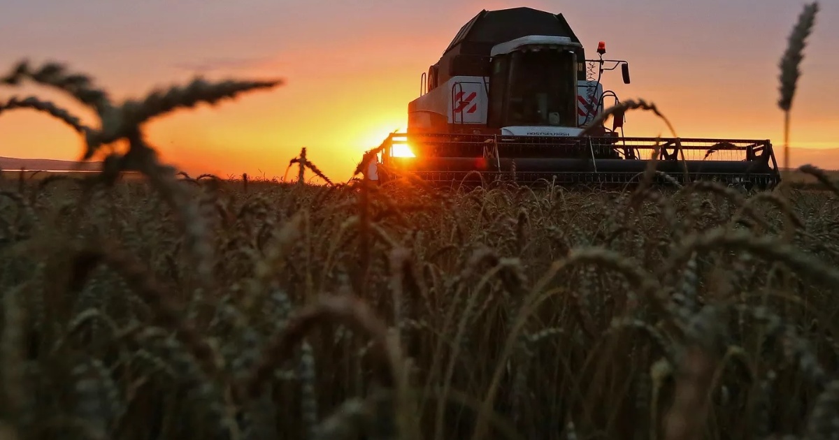 “Es necesaria”: las cerealeras apoyaron la reforma laboral de Javier Milei