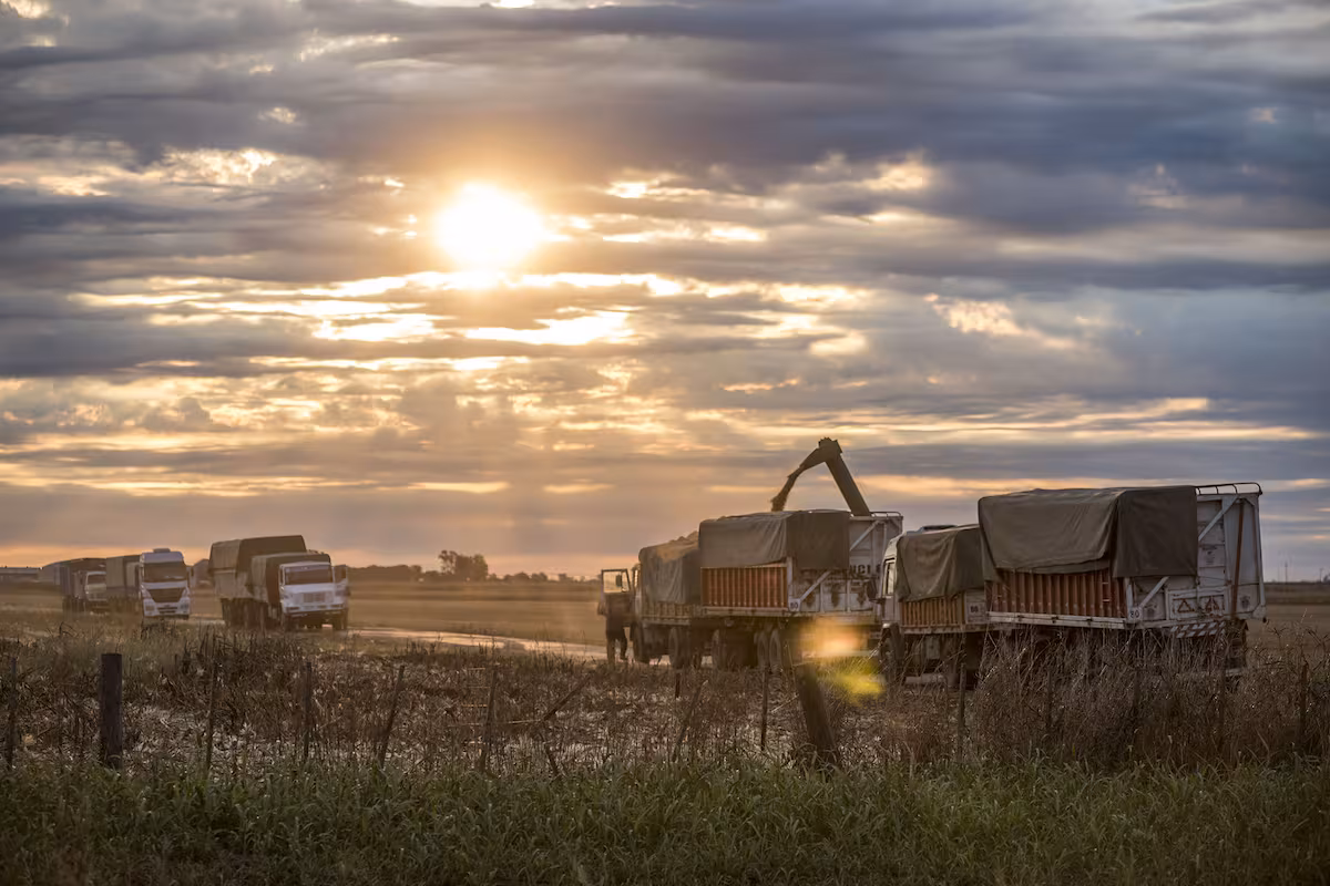 Sorpresas bienvenidas aunque sean exiguas