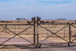 Cambios en tierras y bosques anticipan el fin de una polémica prohibición