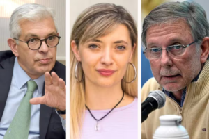 Exfuncionarios de agricultura peronistas se desmarcaron del impuesto a las vacas impulsado por una diputada K