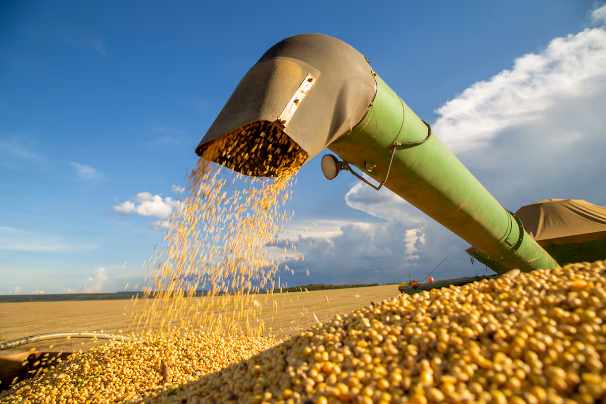 Calculan alivio fiscal de US$600 millones para el campo