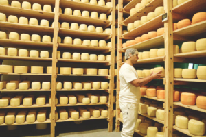 Tras caer en crisis, encontraron una salida y hoy hacen quesos muy reconocidos por los chefs