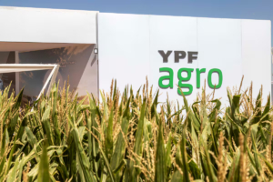 Por qué YPF quiere un socio para su negocio agropecuario