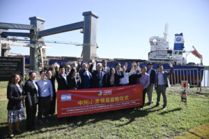 Comenzó la carga del primer barco con trigo argentino rumbo a China