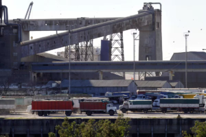 Exportaciones agroindustriales hasta noviembre: US$46.456 millones