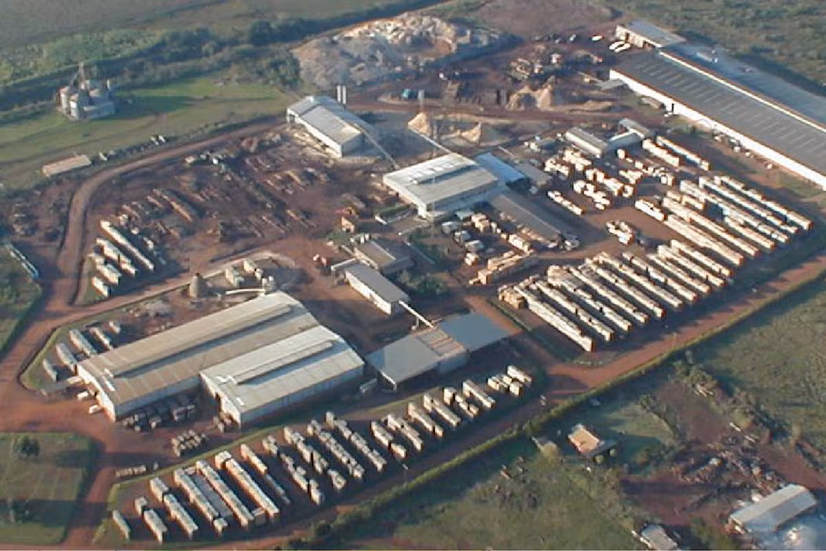 Importante empresa forestoindustrial se presentó en concurso de acreedores y ya busca un inversor