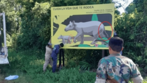 Política y ridículo en Misiones: el gobierno colocó carteles de tapires con cola y sin trompa