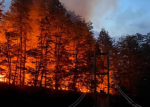 El crudo relato de las pérdidas productivas y ambientales por los incendios en la Patagonia
