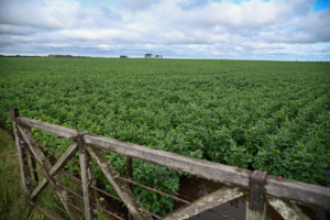 Un balance positivo de 2025 y perspectivas promisorias para 2026