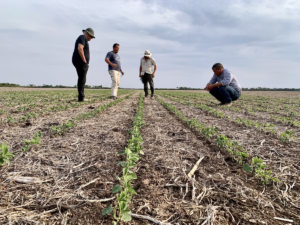 Cómo trascender sin abandonar