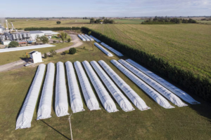 Brindis por el productor argentino: ¡salud! – LA NACION