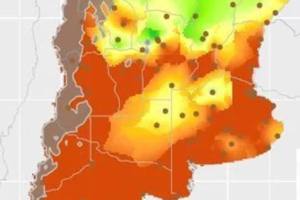Llovió, pero el alivio fue muy parcial; calculan que una provincia agrícola ya perderá US$800 millones
