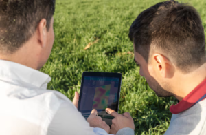 Qué valoran los empleados al sumarse a una empresa del sector agro