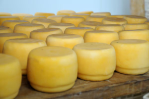 El curioso motivo por el que varios quesos deberán cambiar de nombre por el acuerdo Mercosur-Unión Europea