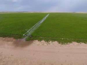 De verdulero a inversionista: invertirá US$50 millones en un ambicioso polo exportador