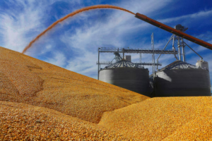 El USDA repite medida y operadores vuelven a sentir el impacto