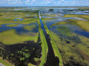 La lluvia en 2025: cuánto cayó y la sorpresa que marcó el año