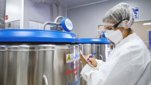 La Argentina exportará a Sudáfrica vacunas contra la fiebre aftosa para su plan nacional de erradicación