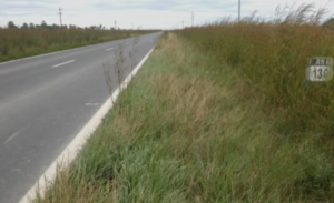 Municipio bonaerense licita siembra de banquinas para generar fondos