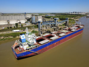 Un ingreso de divisas deja sorpresas en la economía y el mercado cambiario