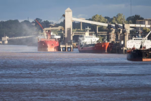 El Gobierno informó registración récord de exportaciones de granos en enero