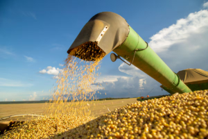 Momento de sintonía fina para la toma de decisiones comerciales