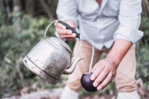 Yerba mate: de infusión diabólica y moneda de pago a costumbre nacional