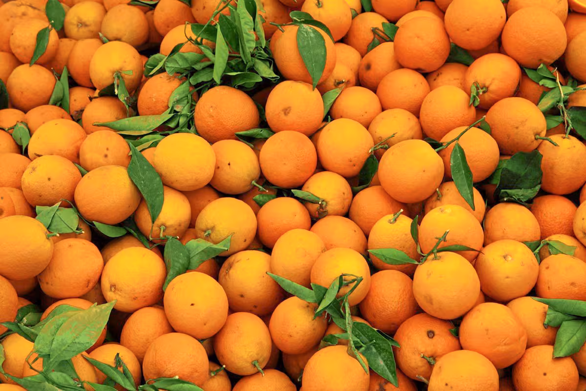 La naranja y la mandarina quedaron fuera del documento, pero apuestan a una negociación pendiente