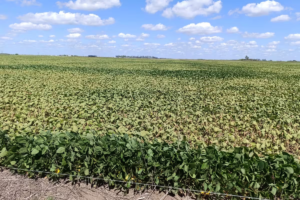 Región Centro: ministros piden actualizar el Fondo de Emergencia Agropecuaria