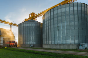 Los Grobo registró una fuerte mejora en su resultado operativo y espera volver al top ten